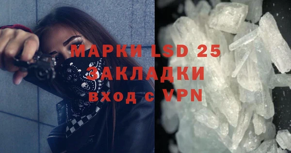 индика Надым