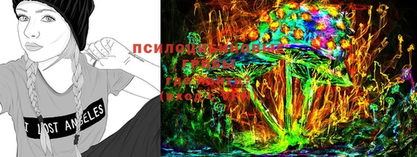 индика Надым