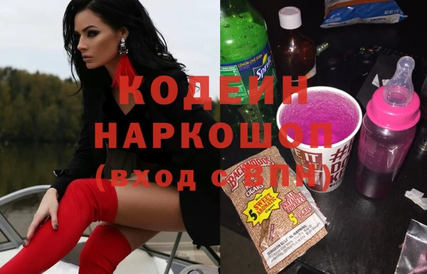 индика Надым