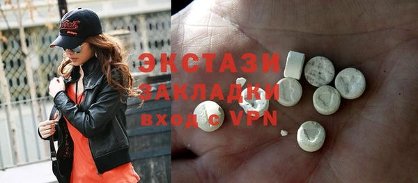 индика Надым